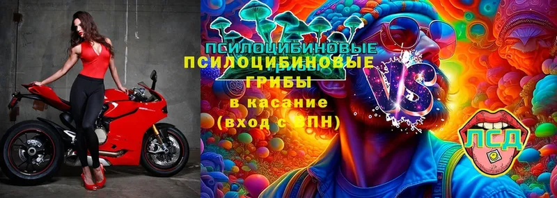 Галлюциногенные грибы MAGIC MUSHROOMS  ОМГ ОМГ ССЫЛКА  Кирс 